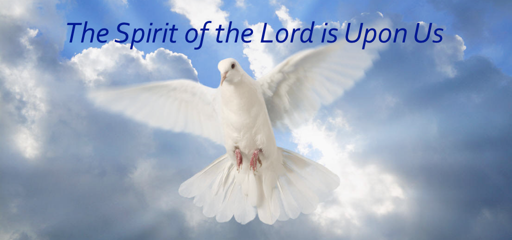 dove