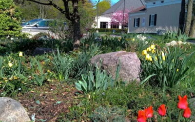 Genesis Annual Garden Spring Awakening