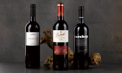 2025 Wine Auction Fundraiser