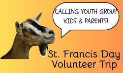 Youth Group Volunteer Trip to Domino’s Farms