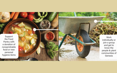 Plant Forward Potluck & Genesis Grounds Fall Clean-Up