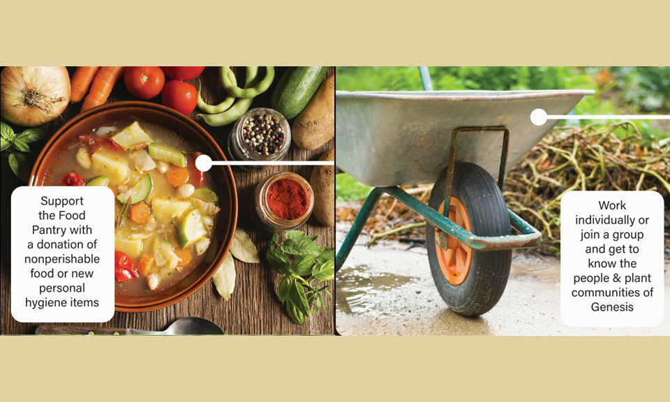Plant Forward Potluck & Genesis Grounds Fall Clean-Up