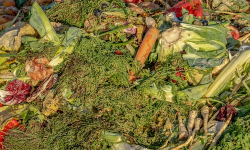 Learn to Compost